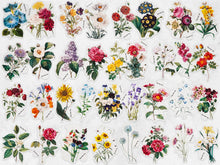 Load image into Gallery viewer, Knaid 100 Pieces Vintage Flower Stickers Set - Big 3.4" Waterproof Clear Botanical Floral Journaling Sticker for Scrapbooking Junk Journal Supplies Bullet Journals Planner Collage Laptop Paper Crafts