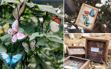 Load image into Gallery viewer, Knaid Butterfly Dragonfly Insects Stickers Set (240 Pieces) - PET Transparent Waterproof Decorative Decals for Scrapbook DIY Crafts Album Bullet Journal Planner Water Bottles Phone Cases Laptops