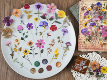 Load image into Gallery viewer, Knaid Pressed Flower Themed Stickers Set (320 Pieces) Dried Flowers Resin Stickers Decals Floral Botanical Journaling Stickers for Scrapbook Supplies Junk Journal Bullet Journal Planner Laptops