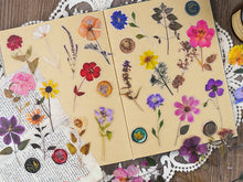 Load image into Gallery viewer, Knaid Pressed Flower Themed Stickers Set (320 Pieces) Dried Flowers Resin Stickers Decals Floral Botanical Journaling Stickers for Scrapbook Supplies Junk Journal Bullet Journal Planner Laptops