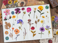 Load image into Gallery viewer, Knaid Pressed Flower Themed Stickers Set (320 Pieces) Dried Flowers Resin Stickers Decals Floral Botanical Journaling Stickers for Scrapbook Supplies Junk Journal Bullet Journal Planner Laptops