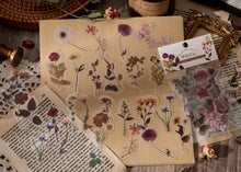 Load image into Gallery viewer, Knaid Botanical Stickers Set (320 Pieces) Pressed Flower Resin Decals Transparent Daisy Tulip Eucalyptus Leaf Mushroom Journaling Sticker for Scrapbook Card Making Junk Journal Bullet Journal Planner
