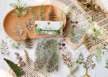 Load image into Gallery viewer, Knaid Botanical Stickers Set (320 Pieces) Pressed Flower Resin Decals Transparent Daisy Tulip Eucalyptus Leaf Mushroom Journaling Sticker for Scrapbook Card Making Junk Journal Bullet Journal Planner
