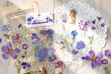 Load image into Gallery viewer, Knaid Botanical Stickers Set (320 Pieces) Pressed Flower Resin Decals Transparent Daisy Tulip Eucalyptus Leaf Mushroom Journaling Sticker for Scrapbook Card Making Junk Journal Bullet Journal Planner
