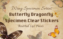 Load image into Gallery viewer, Knaid Butterfly Dragonfly Insects Stickers Set (240 Pieces) - PET Transparent Waterproof Decorative Decals for Scrapbook DIY Crafts Album Bullet Journal Planner Water Bottles Phone Cases Laptops
