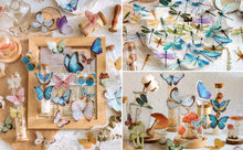 Load image into Gallery viewer, Knaid Butterfly Dragonfly Insects Stickers Set (240 Pieces) - PET Transparent Waterproof Decorative Decals for Scrapbook DIY Crafts Album Bullet Journal Planner Water Bottles Phone Cases Laptops
