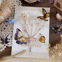 Load image into Gallery viewer, Knaid Butterfly Dragonfly Insects Stickers Set (240 Pieces) - PET Transparent Waterproof Decorative Decals for Scrapbook DIY Crafts Album Bullet Journal Planner Water Bottles Phone Cases Laptops
