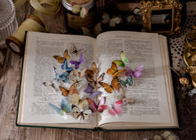 Load image into Gallery viewer, Knaid Butterfly Stickers Set (320 Pieces) Transparent Colorful Butterflies Resin Stickers Decals for Nature Scrapbook Supplies Junk Journal Bullet Journals Planners Laptops Paper Crafts
