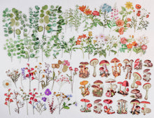 Load image into Gallery viewer, Knaid Flower Eucalyptus Plant Stickers Set (160 Pieces) - PET Transparent Waterproof Decorative Decals for Scrapbook DIY Crafts Album Bullet Journal Planner Water Bottles Phone Cases Laptops
