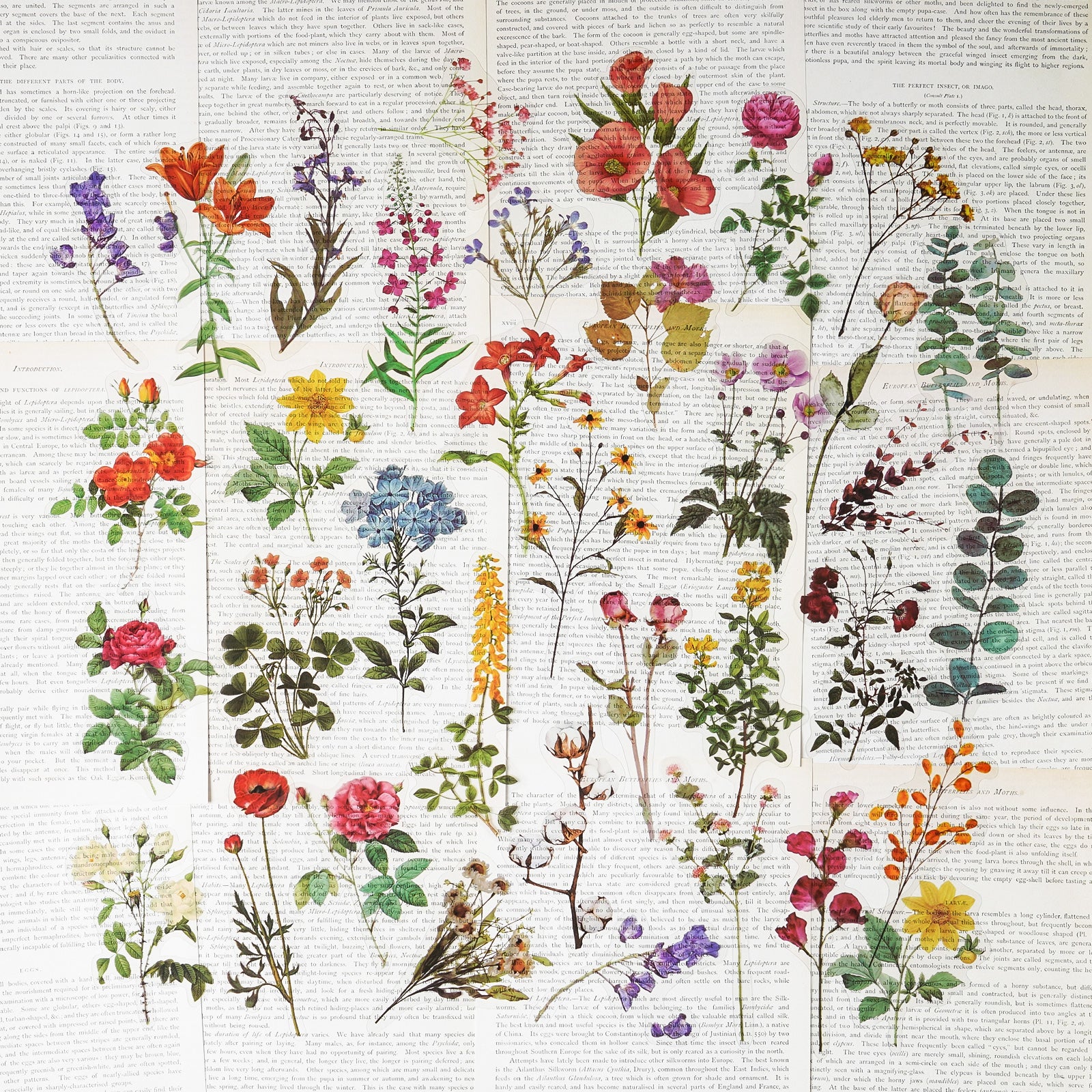 160 Pieces Vintage Scrapbook Stickers Vintage Flower Plant