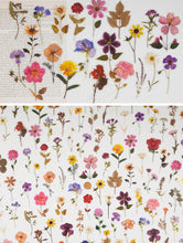 Load image into Gallery viewer, Knaid Pressed Flower Themed Stickers Set (320 Pieces) Dried Flowers Resin Stickers Decals Floral Botanical Journaling Stickers for Scrapbook Supplies Junk Journal Bullet Journal Planner Laptops
