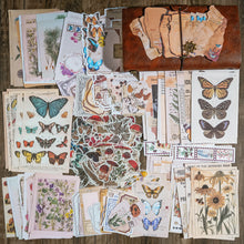 Load image into Gallery viewer, Knaid Vintage Scrapbook Supplies Pack (200 Pieces) for Art Journaling Bullet Junk Journal Planners DIY Paper Stickers Craft Kits Notebook Collage Album Aesthetic Cottagecore Picture Frames (Nature)

