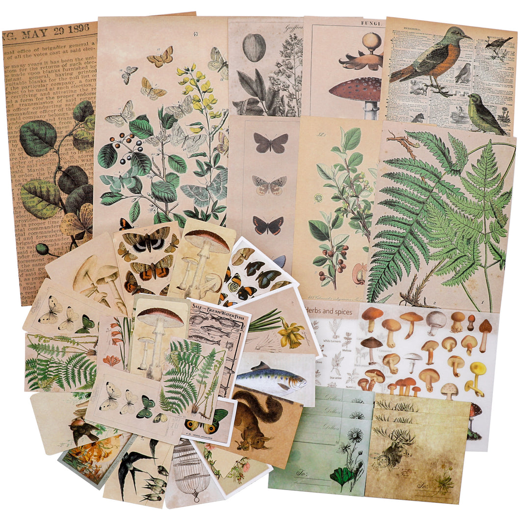 Knaid Vintage Scrapbooking Stickers Pack, Decorative Plants Flower Butterfly Mushroom Paper Decals Nature Retro Collection for Junk Journal DIY Arts Crafts Album Bullet Journals Planners