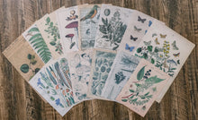 Load image into Gallery viewer, Knaid Vintage Scrapbooking Stickers Pack, Decorative Plants Flower Butterfly Mushroom Paper Decals Nature Retro Collection for Junk Journal DIY Arts Crafts Album Bullet Journals Planners
