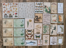 Load image into Gallery viewer, Knaid Vintage Scrapbooking Stickers Pack, Decorative Plants Flower Butterfly Mushroom Paper Decals Nature Retro Collection for Junk Journal DIY Arts Crafts Album Bullet Journals Planners
