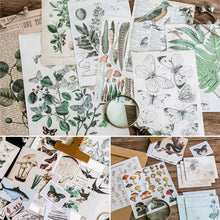 Load image into Gallery viewer, Knaid Vintage Scrapbooking Stickers Pack, Decorative Plants Flower Butterfly Mushroom Paper Decals Nature Retro Collection for Junk Journal DIY Arts Crafts Album Bullet Journals Planners
