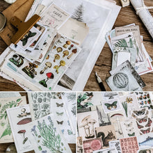 Load image into Gallery viewer, Knaid Vintage Scrapbooking Stickers Pack, Decorative Plants Flower Butterfly Mushroom Paper Decals Nature Retro Collection for Junk Journal DIY Arts Crafts Album Bullet Journals Planners
