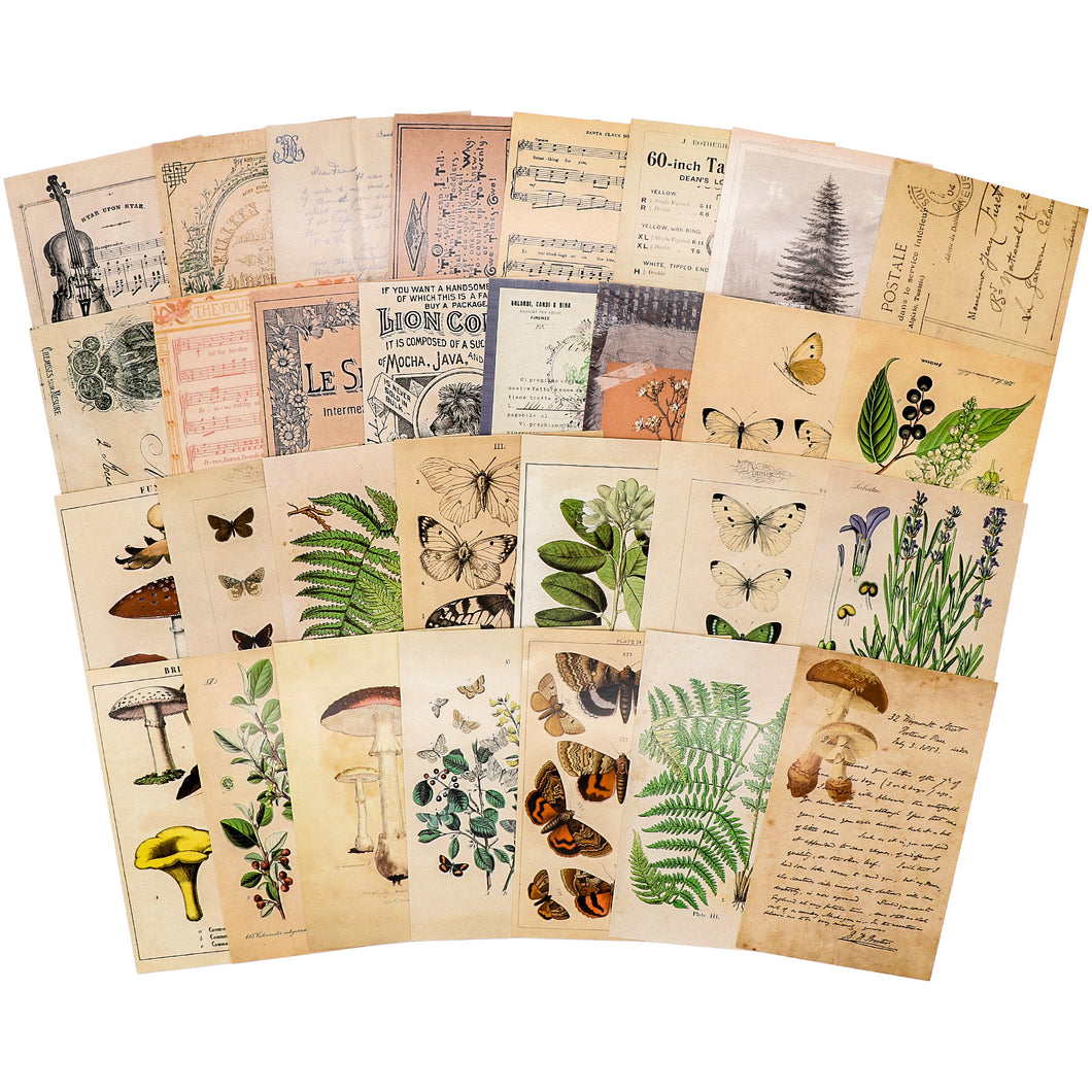 Knaid Vintage Style Postcard Set, Pack of 30 Botanical Plants Butterfly Mushroom Leaves Fruits Retro Postcards