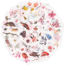 Load image into Gallery viewer, Knaid Watercolor Birds and Flowers Stickers Set - Decorative Sticker for Scrapbooking, Kid DIY Arts Crafts, Album, Bullet Journaling, Junk Journal, Planners, Calendars and Notebook
